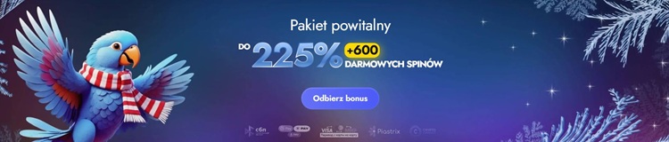 Stopka strony z numerem licencji i linkiem do rejestru