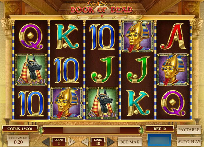 Ekran funkcji Gamble w Book of Dead z zakrytą kartą do odgadnięcia koloru